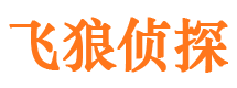 加查侦探公司